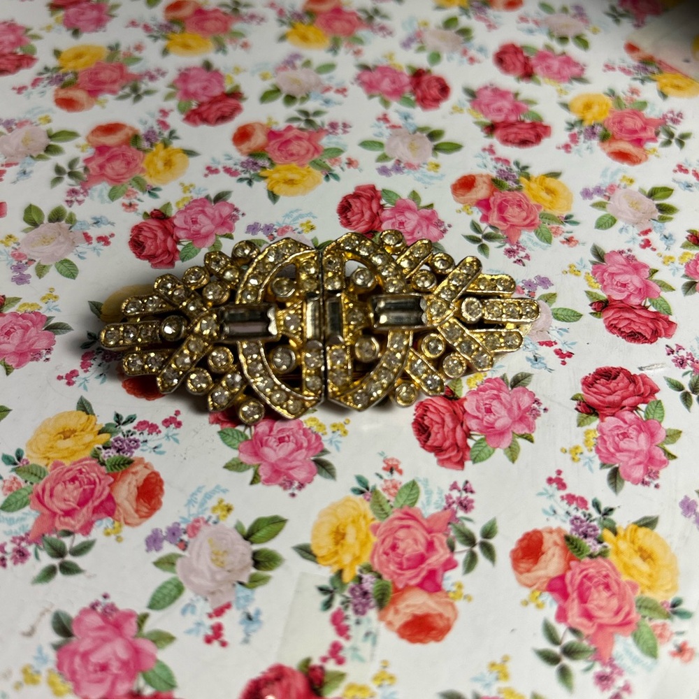 Beautiful Vintage Broach-Shoe Clips